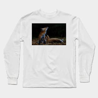 Red Fox itch - Algonquin Park, Canada Long Sleeve T-Shirt